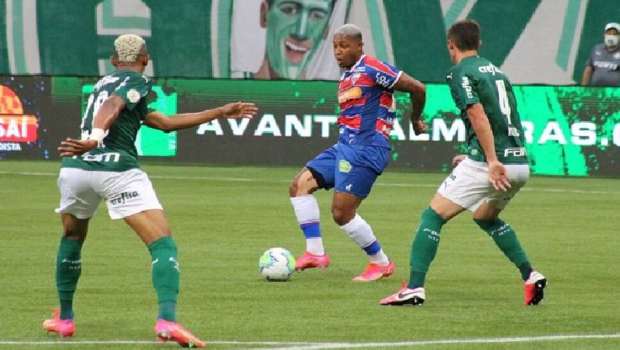 soi-keo-nhan-dinh-fortaleza-vs-palmeiras-luc-05h00-ngay-01-06-2023-1