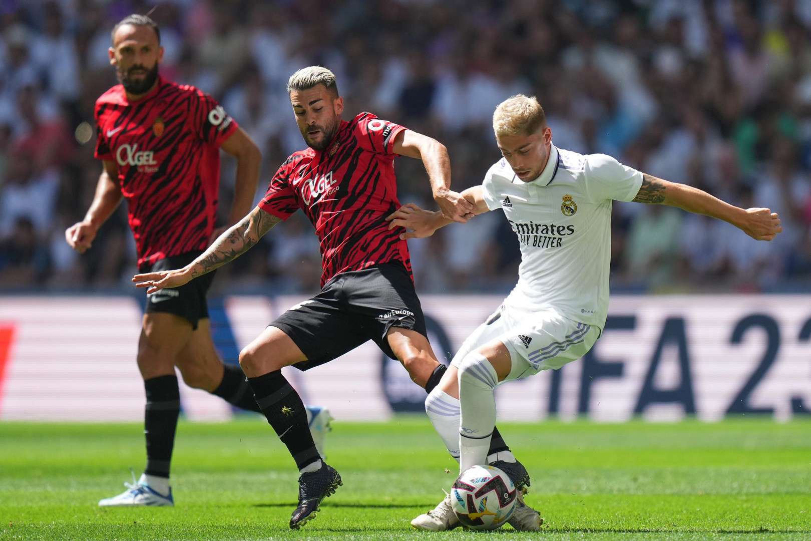 Nhận định soi kèo Mallorca vs Real Madrid vào 02h30 ngày 19/8/2024