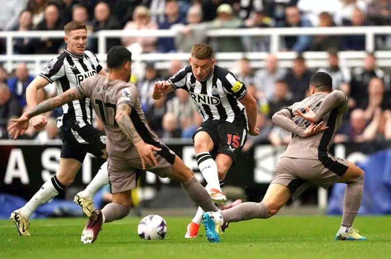 nhan-dinh-newcastle-vs-tottenham-ngay-03-12